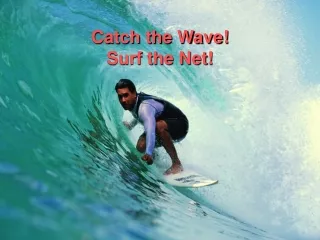 Catch the Wave!  Surf the Net!