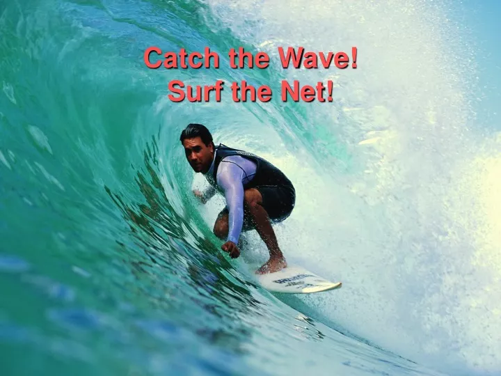 catch the wave surf the net