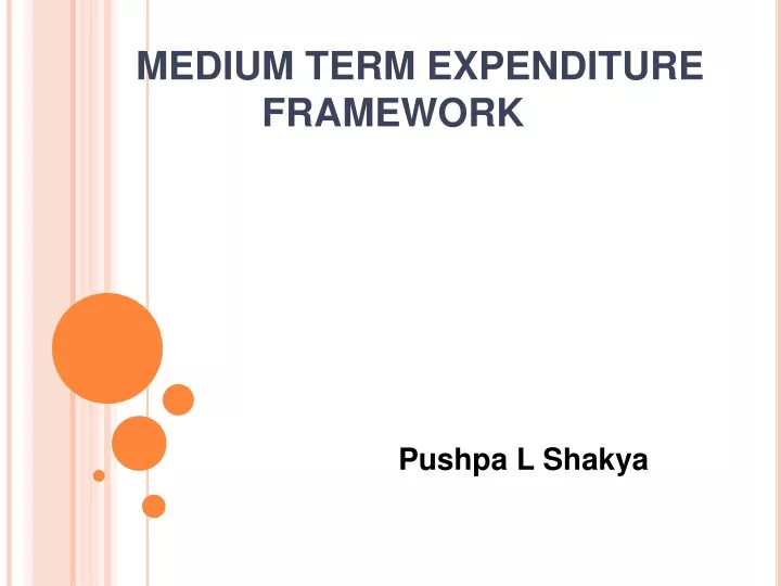 medium term expenditure framework