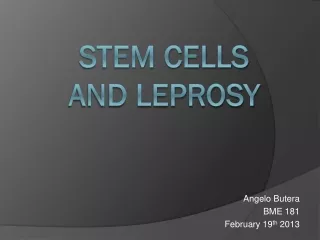 Stem Cells and Leprosy