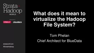 What does it mean to virtualize the Hadoop File System?