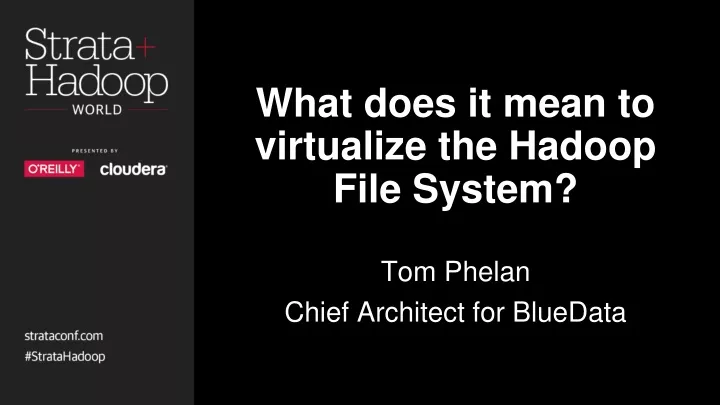 what does it mean to virtualize the hadoop file system