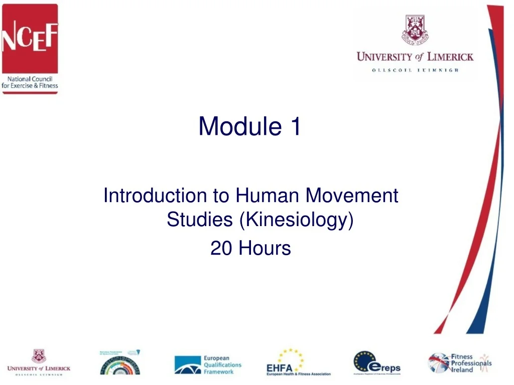 PPT - Human Body and Movement | A Comprehensive Overview PowerPoint ...