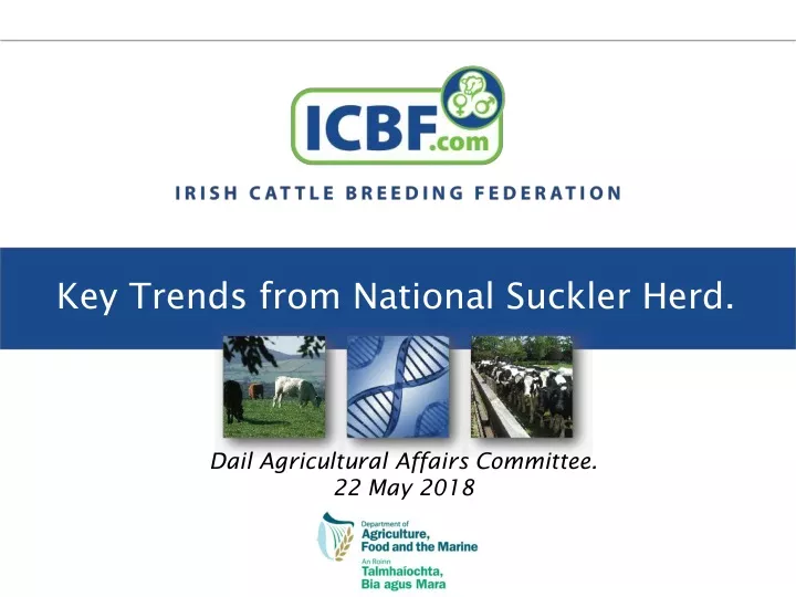 key trends from national suckler herd