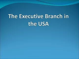 The Executive Branch in the USA