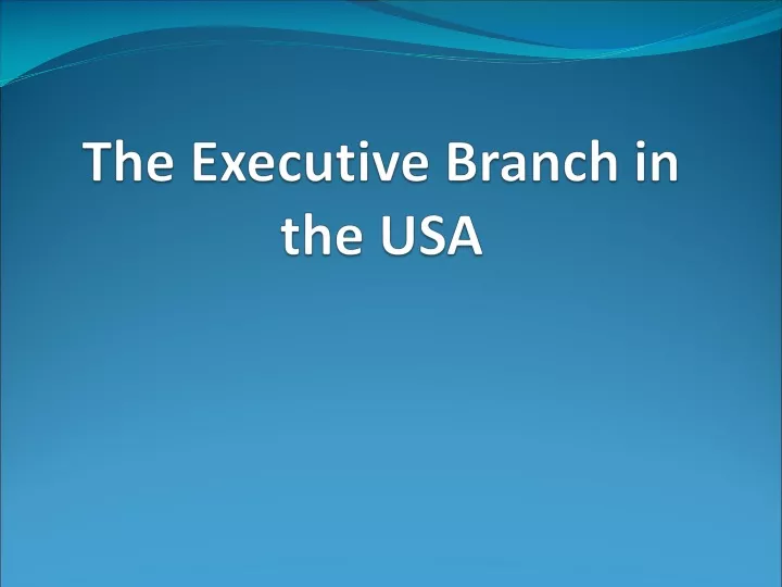 the executive branch in the usa