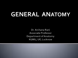 Dr. Archana Rani Associate Professor Department of Anatomy KGMU, UP, Lucknow