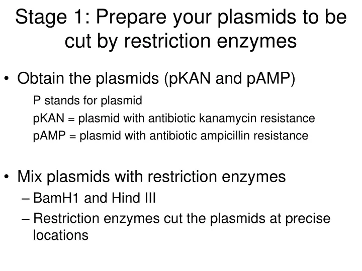 stage 1 prepare your plasmids to be cut by restriction enzymes