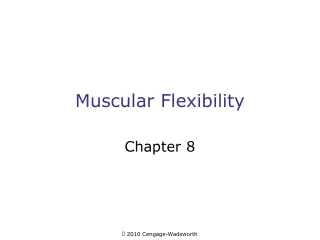 Muscular Flexibility