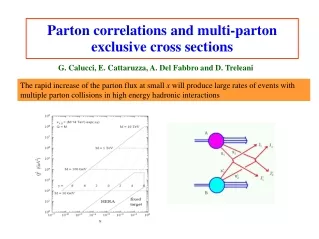 Parton correlations and multi-parton exclusive cross sections