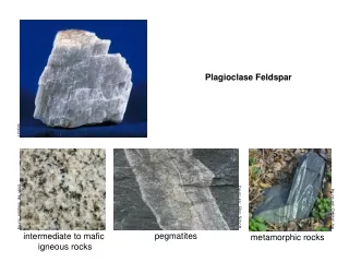 intermediate to mafic  igneous rocks