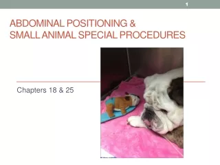 Abdominal Positioning &amp;  Small Animal Special Procedures