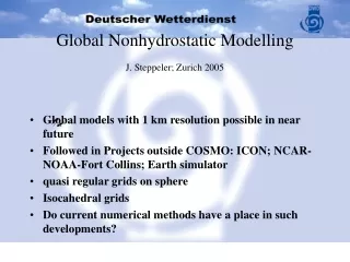 Global Nonhydrostatic Modelling J. Steppeler; Zurich 2005