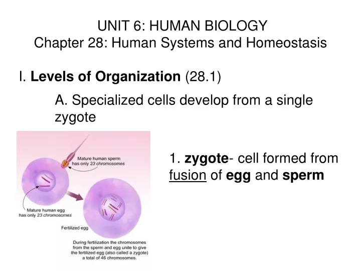 unit 6 human biology chapter 28 human systems