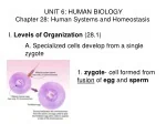 Human Biology: Systems and Homeostasis - slide 1