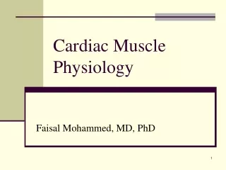 Cardiac Muscle Physiology