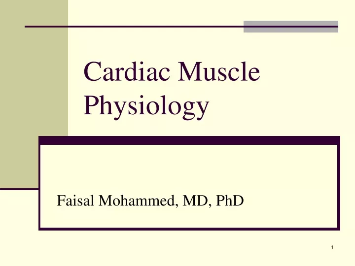 cardiac muscle physiology