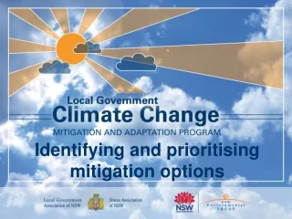 Identifying and prioritising mitigation options