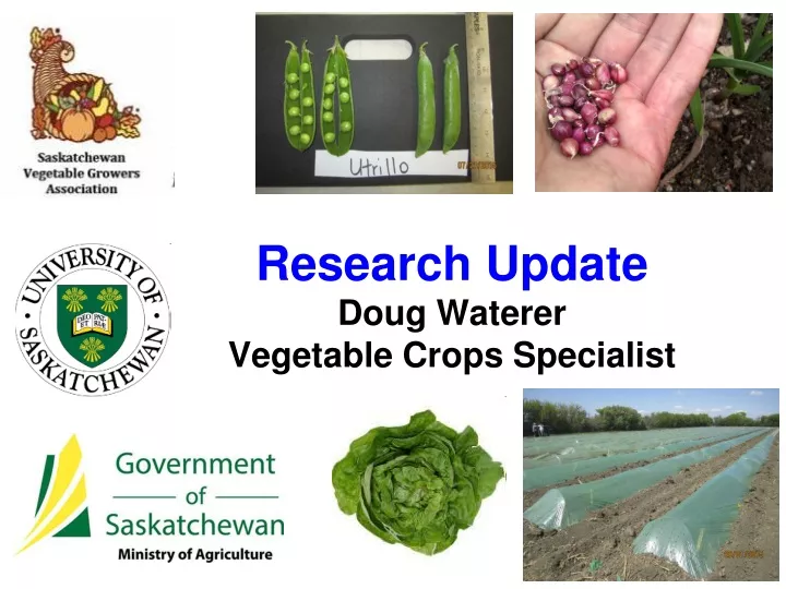 research update doug waterer vegetable crops specialist