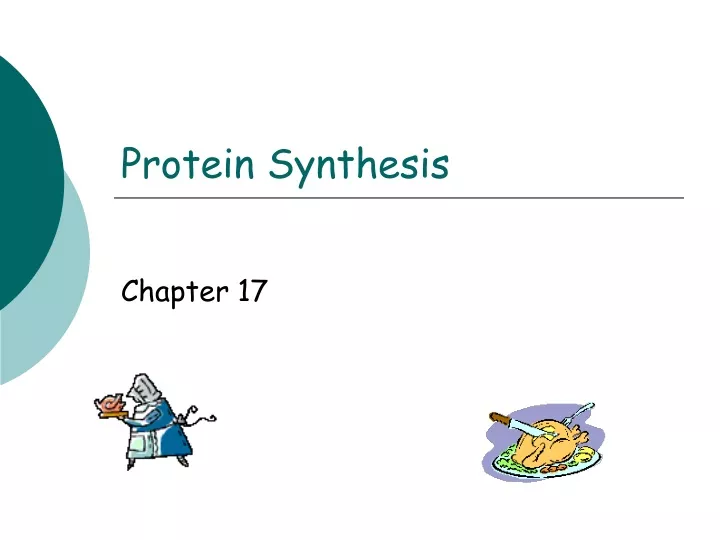 protein synthesis