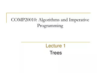 COMP20010: Algorithms and Imperative Programming
