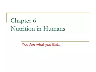 Chapter 6 Nutrition in Humans