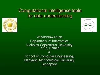 Computational intelligence tools  for data understanding