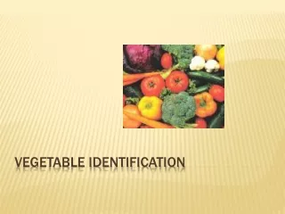 Vegetable Identification