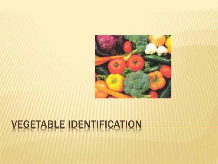 vegetable identification