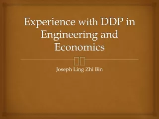 Experience  with  DDP in Engineering and Economics