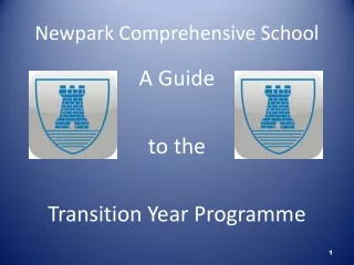 Newpark Comprehensive School