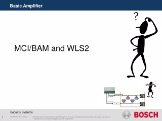 MCI/BAM and WLS2