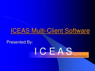 ICEAS Multi-Client Software
