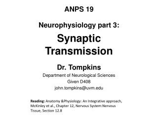 Neurophysiology part 3: Synaptic Transmission