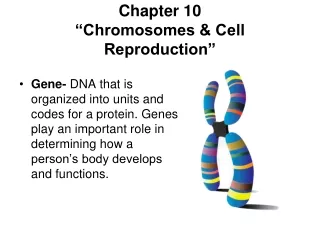 Chapter 10 “Chromosomes &amp; Cell Reproduction”