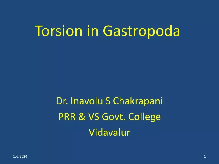 torsion in gastropoda