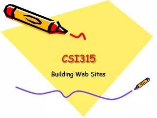 CSI315