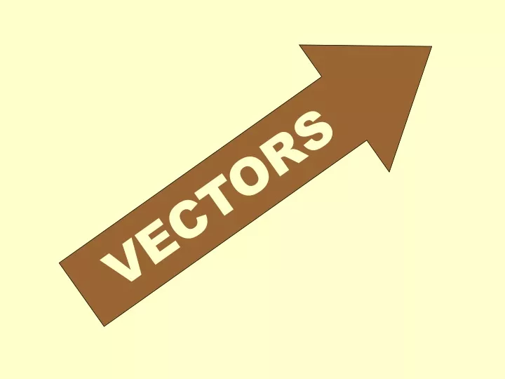 vectors