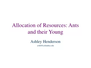 Allocation of Resources: Ants and their Young