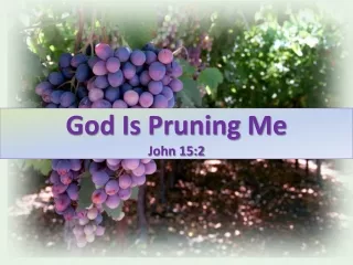 God Is Pruning Me John 15:2