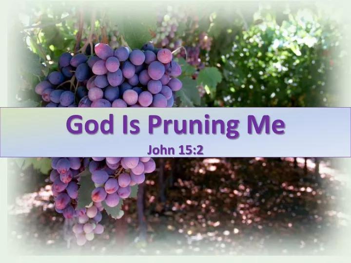 god is pruning me john 15 2