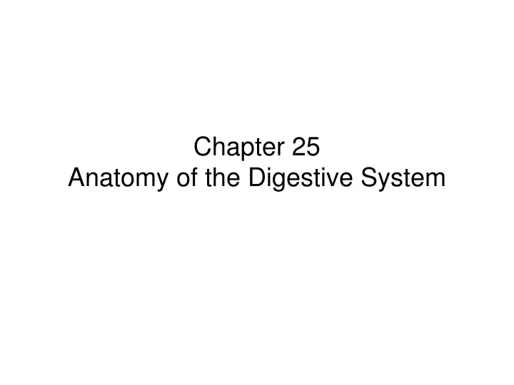 chapter 25 anatomy of the digestive system