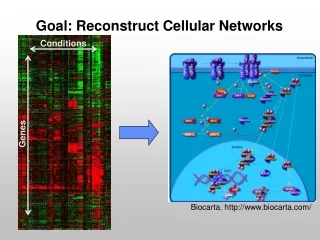 Goal: Reconstruct Cellular Networks