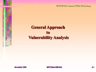 General Approach  to  Vulnerability Analysis