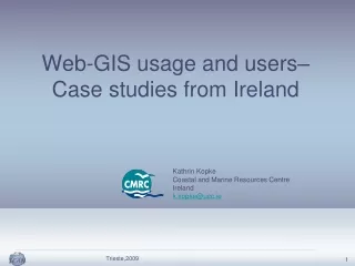 Web-GIS usage and users–  Case studies from Ireland