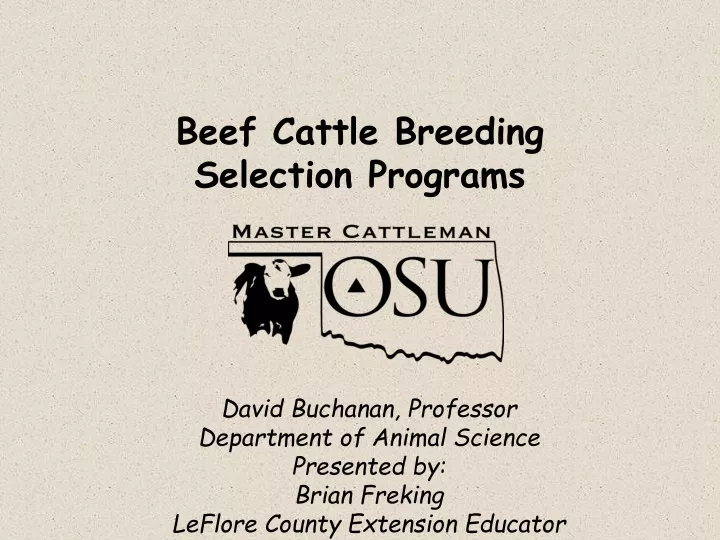 beef cattle breeding selection programs