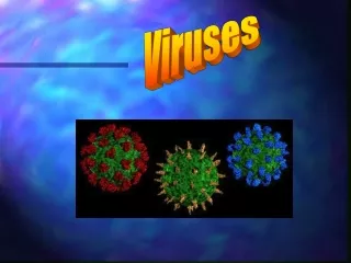 Viruses