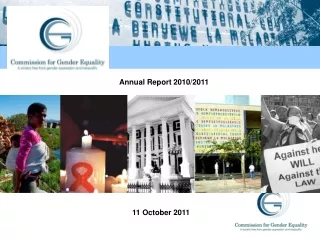 annual report 2010 2011