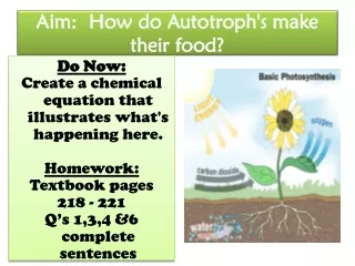 Aim:  How do Autotroph's make their food?