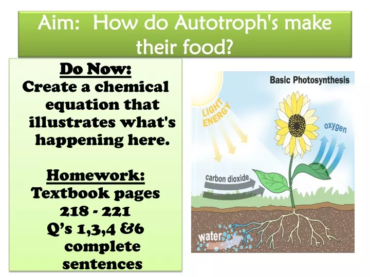 aim how do autotroph s make their food